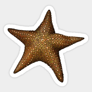 Starfish Sticker